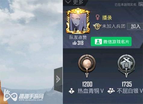 和平精英【德尔塔】模拟器辅助